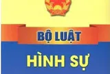 Pháp luật hình sự về gian lận tín chỉ carbon: Kinh nghiệm một số quốc gia và gợi mở cho Việt Nam