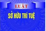Thách thức mới về bảo vệ dữ liệu trong thời đại kinh tế số dưới góc nhìn của Luật Sở hữu trí tuệ