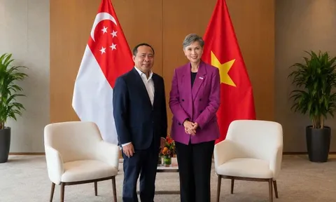Việt Nam - Singapore trao đổi hợp tác phát triển số, quản trị AI và hạ tầng kết nối