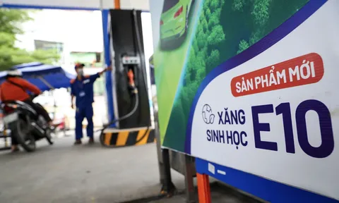 Xăng E10 được các hiệp hội ô tô, xe máy đánh giá ra sao?