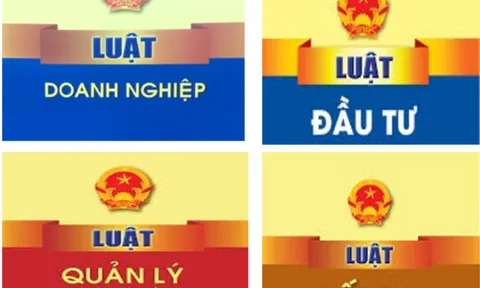 Khung pháp lý về bảo đảm quyền tự do kinh doanh: Kinh nghiệm quốc tế và khuyến nghị cho Việt Nam
