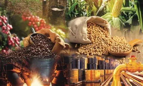 Khung pháp lý phát triển thị trường hàng hoá phái sinh: Việt Nam nên lựa chọn mô hình nào?