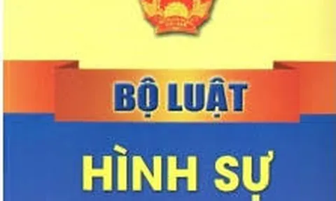 Pháp luật hình sự về gian lận tín chỉ carbon: Kinh nghiệm một số quốc gia và gợi mở cho Việt Nam