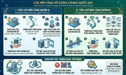 VNelD là nền tảng số dùng chung quốc gia sử dụng chung cho các ngành, lĩnh vực