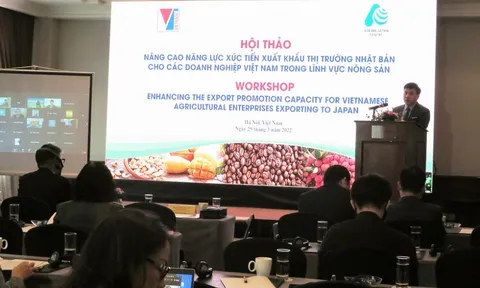 Xuất khẩu nông sản sang Nhật Bản: Linh hoạt đáp ứng những thay đổi của thị trường