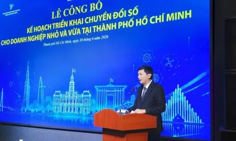 Thành phố Hồ Chí Minh công bố kế hoạch chuyển đổi số cho doanh nghiệp SMS
