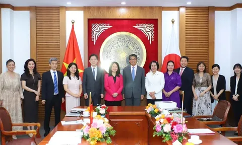 Việt Nam - Nhật Bản tăng cường phối hợp tác bảo hộ bản quyền và chống xâm phạm quyền SHTT