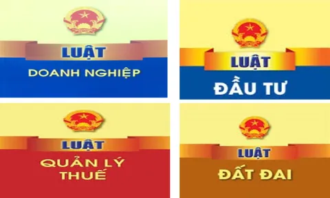 Khung pháp lý về bảo đảm quyền tự do kinh doanh: Kinh nghiệm quốc tế và khuyến nghị cho Việt Nam