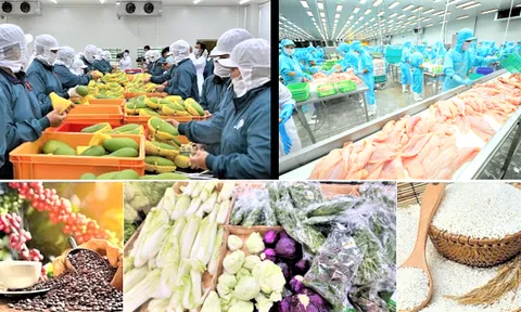 Xuất khẩu nông, lâm, thủy sản tăng, nhưng áp lực phân hóa thị trường và nhóm hàng