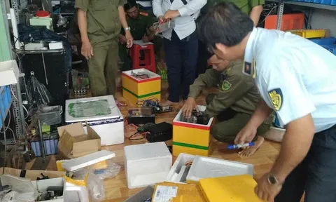 Rao bán công cụ kích điện trên mạng, người đàn ông ở Vĩnh Long bị phạt 12,5 triệu đồng