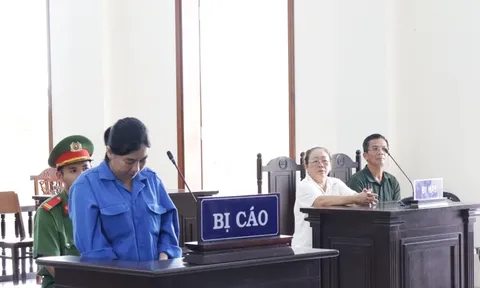 Một 'cò đất' bị phạt 16 năm tù vì dùng 11 giấy đất giả để vay, mượn tiền