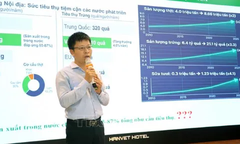 Phát triển chăn nuôi gắn với truy xuất nguồn gốc và liên kết tiêu thụ