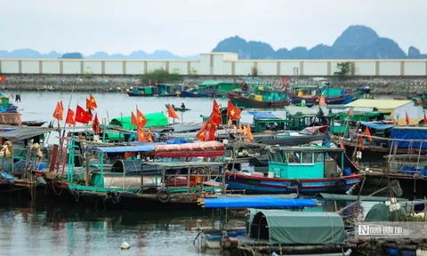 Thủ tướng phát lệnh “tuyên chiến” với khai thác IUU, không để lọt vi phạm