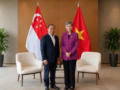 Việt Nam - Singapore trao đổi hợp tác phát triển số, quản trị AI và hạ tầng kết nối