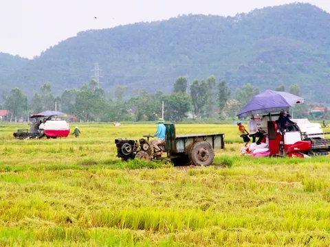 Tài sản trí tuệ: “Vốn mới” định hình vị thế cho hợp tác xã nông nghiệp