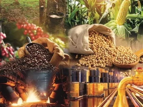 Khung pháp lý phát triển thị trường hàng hoá phái sinh: Việt Nam nên lựa chọn mô hình nào?