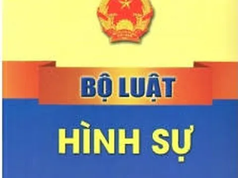 Pháp luật hình sự về gian lận tín chỉ carbon: Kinh nghiệm một số quốc gia và gợi mở cho Việt Nam