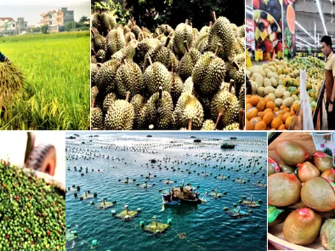 Nông nghiệp tăng trưởng tích cực, củng cố mục tiêu phát triển xanh