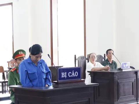 Một 'cò đất' bị phạt 16 năm tù vì dùng 11 giấy đất giả để vay, mượn tiền