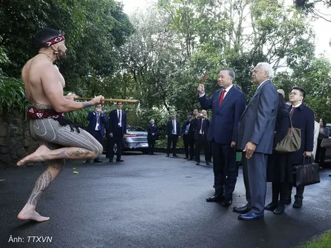 New Zealand đón Tổng Bí thư, Chủ tịch nước Tô Lâm bằng màn múa chiến binh Maori