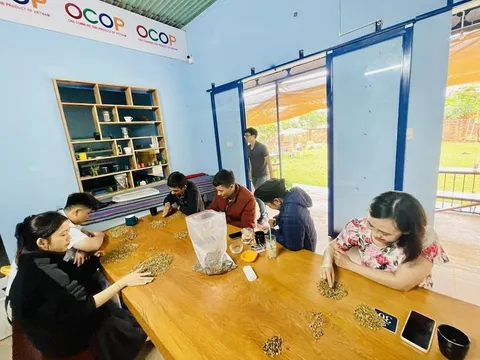 Gia Lai đưa sở hữu trí tuệ thành tài sản chiến lược của HTX
