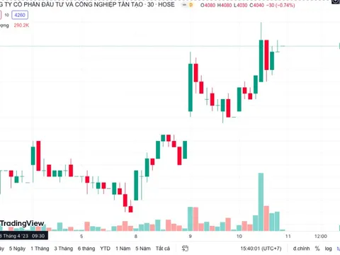 Tân Tạo báo lãi sụt giảm do hụt thanh lý các khoản đầu tư